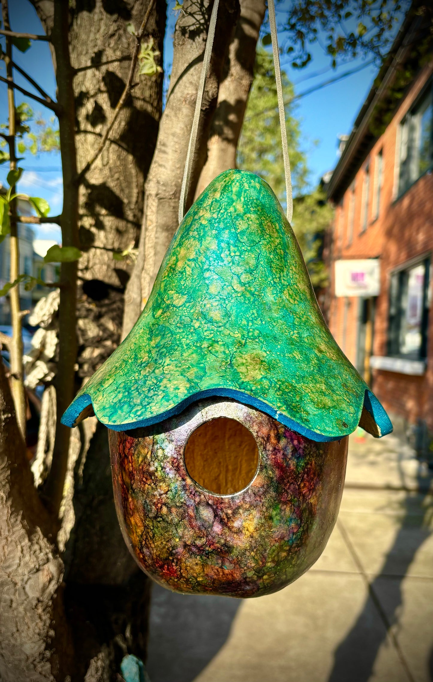 Gourd Birdhouse Class - April 12