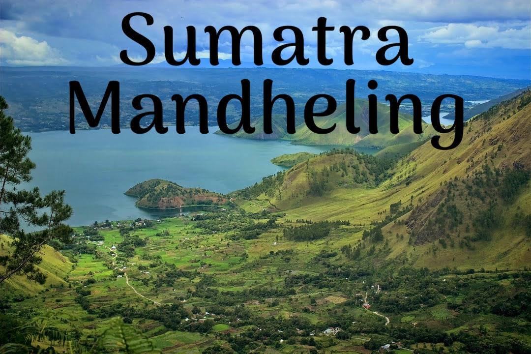 Sumatra Mandheling Medium Roast